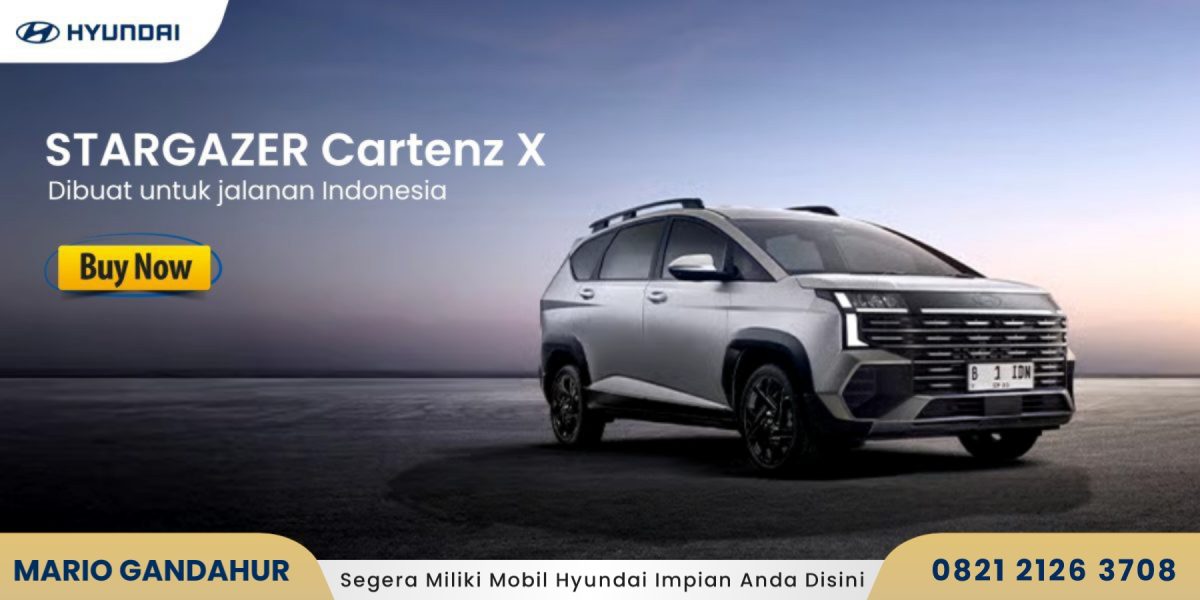 stargazer cartenz x banner